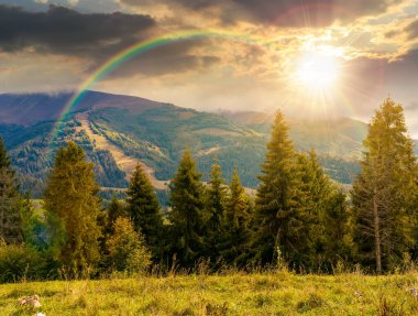 Gün batımında dağlardaki çimenli çayırlarda her yer yemyeşil. Uzak vadiyle güneşli güzel bir manzara. Akşam ışığında inanılmaz bir transkarpati manzarası.