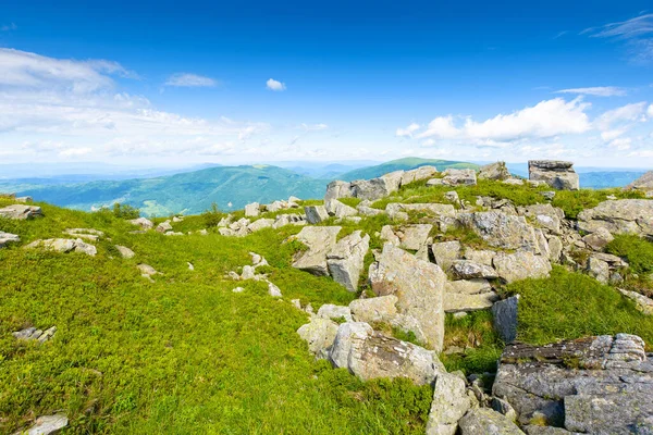 Yazın harika bir dağ manzarası. Tepelerdeki çimlerin arasında kayalar ve öğlen vakti kabarık bulutlarla mavi gökyüzünün altında yamaçlar. Alp ortamının manzaralı görüntüsü