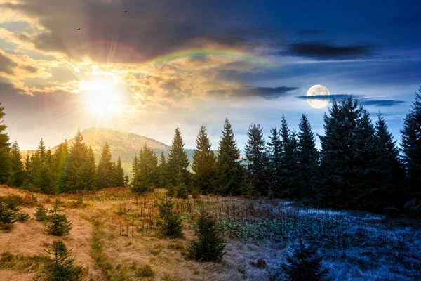 Çayırdaki köknar ağaçları. Gündüz ve gece zaman kavramını değiştirir. Gökyüzünün altındaki dağlarda kozalaklı ormanlarla, alacakaranlıkta güneş ve ay olan doğal manzara. güzel alp manzarası