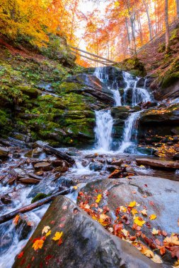 Şelale shypit 'li güzel sonbahar manzarası. Ukrayna 'nın Karpat Dağları' nda popüler bir yer. Altın yapraklı orman. Sonbahar mevsiminde inanılmaz güneşli hava