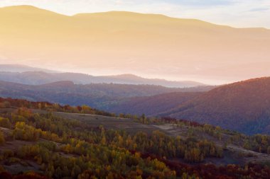 Gün doğumunda dağ yamacında yaprak döken orman. Karpat Vadisi 'nin sisli güzel manzarası. Ukrayna 'nın sonbahar manzarası