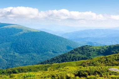 Yazın Alpler 'in güzel manzaralı dağ manzarası. Güneşli bir günde mavi gökyüzünün altında yeşil alp çayırı. Karpat Dağları 'ndaki cennet manzarası Çimenli tepeler sabah taze