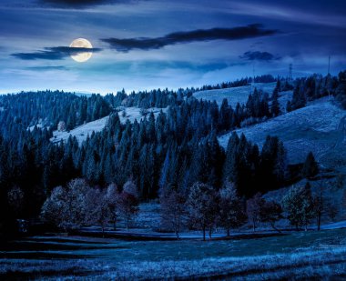 Sonbahar manzarası, gece, kozalaklı ormanın yakınındaki vadi boyunca uzanan yol renkli yapraklı ağaçlar. Dağlardaki güzel kır manzarası. Dolunay ışığında manzaralı bir yer