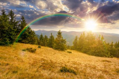 Tepenin aşağısındaki bir çayırdaki köknar ağaçları gün batımında dağlardaki kozalaklı ormanlara kadar. Dağlık arazi bulutlu gökyüzü altında Sonbaharın başlarında akşam ışığında