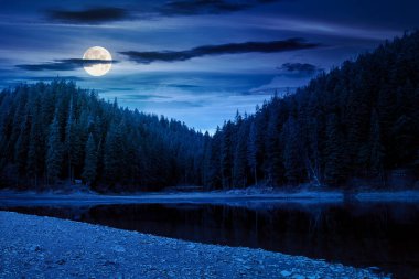 Güz Ormanı 'nda gece vakti göl kenarındaki manzara manzarası. Sonbahar mevsiminde, dolunay ışığında milli parkın güzel manzarası. Gölette renkli bir çevre yansıması var. Ormanda açık hava macerası