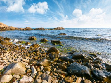Sabahleyin çakıl taşı kıyısı. Karadeniz 'de güzel bir yaz tatili mevsimi