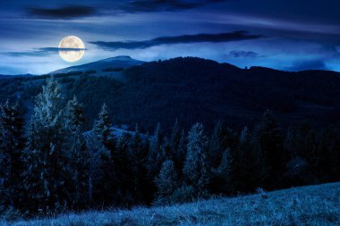 Çayırda ve yamaçta köknar ağaçları ve gece bulutlu mavi gökyüzünün altında kozalaklı ağaçlar. Sonbaharın başlarında dolunay ışığında dağlık kırsal alan.