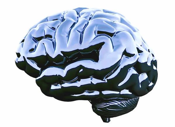 Cerveau Bleu Brillant Sur Fond Blanc Illustration — Photo