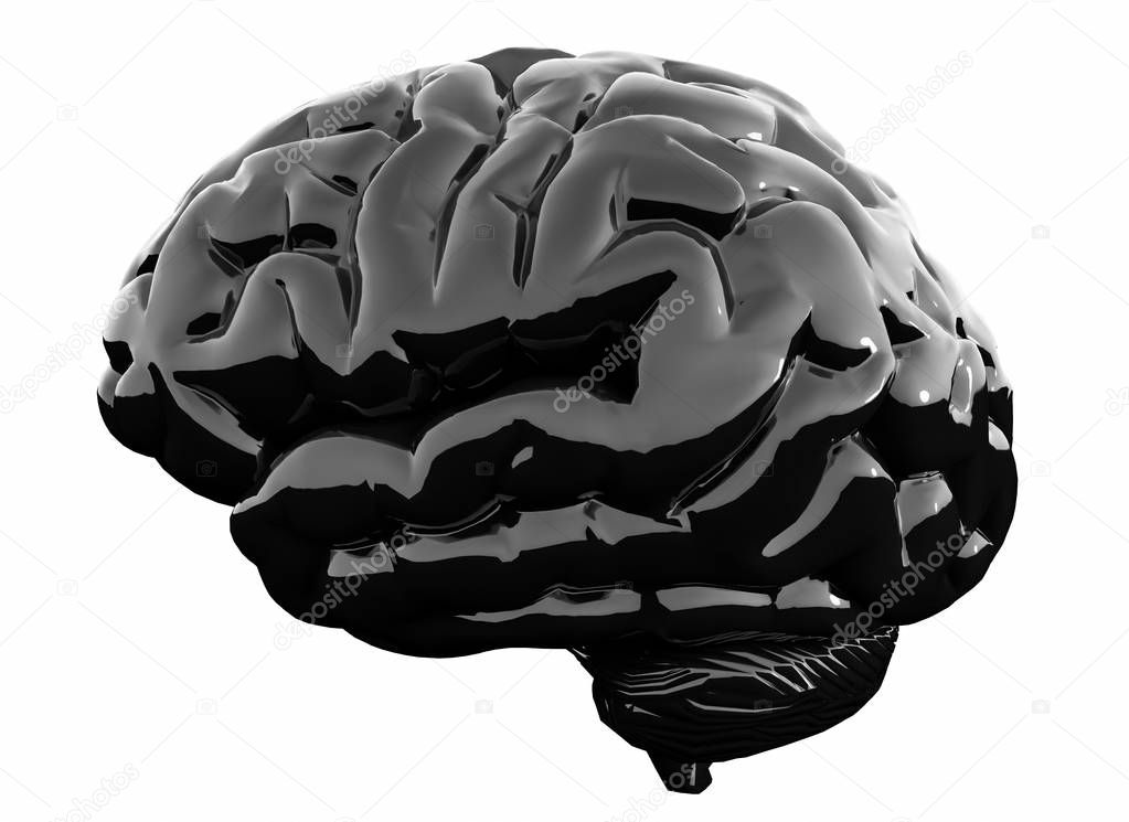 Black glossy brain on white background. 3D illustration.