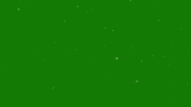 Partículas de polvo en la pantalla verde soplado lentamente por el viento — Vídeos de Stock
