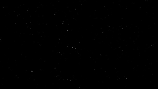 Siyah Bir Zemin Üzerine Beyaz Parçacıklar Alttan Üste Sinek — Stok video