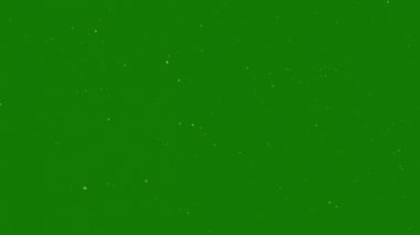 Yeşil bir ekran üzerinde beyaz parçacıklar alttan üste sinek.