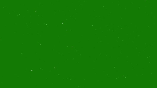 Partículas blancas en una pantalla verde vuelan de abajo hacia arriba — Vídeo de stock