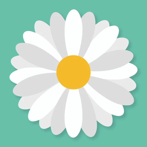 Daisy flower in flat style. Vector simple illustration