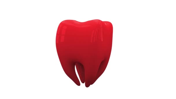 Red Tooth loop girar sobre fundo branco — Vídeo de Stock