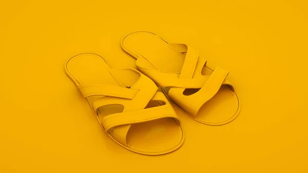 Flip flops. Conceito de verão. ilustração 3d — Fotografia de Stock
