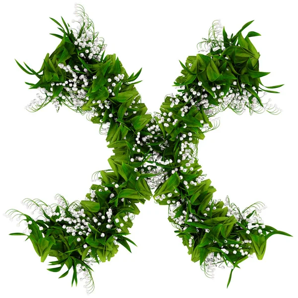 Lettera X fatta di fiori ed erba isolata su bianco. Illustrazione 3d — Foto Stock