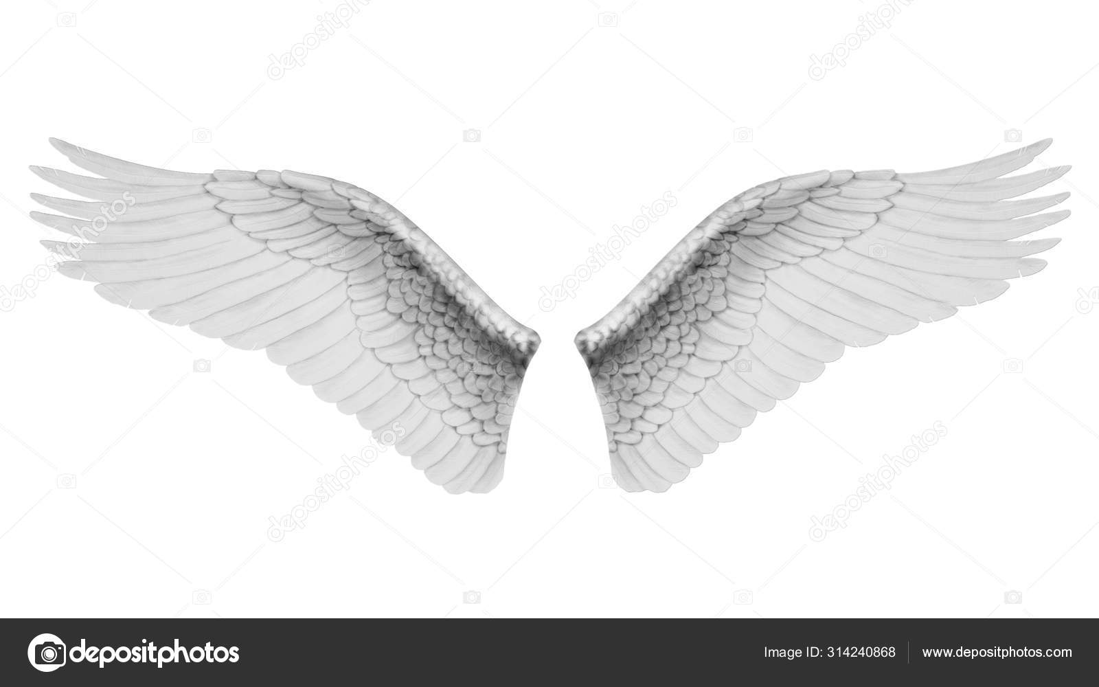 Weiße Flügel isoliert auf weißem Hintergrund, 3D-Darstellung – Stockfoto ©  annlarich #314240868, image size:1600x1000