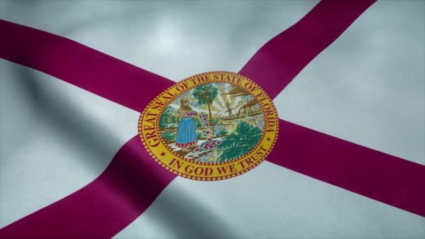 De vlag van Florida wappert in de wind. Naadloze lus met zeer gedetailleerde stofstructuur — Stockvideo