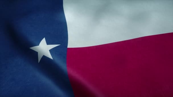 Texasin osavaltion lippu heiluu tuulessa. Saumaton silmukka erittäin yksityiskohtainen kangas rakenne — kuvapankkivideo