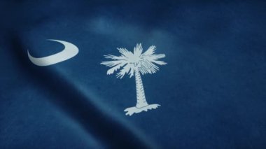 Güney Carolina eyalet bayrağı rüzgarda sallanıyor. Son derece detaylı kumaş dokusuna sahip kusursuz döngü.