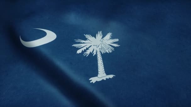 Die Flagge von South Carolina weht im Wind. Nahtlose Schlaufe mit sehr detaillierter Textur — Stockvideo