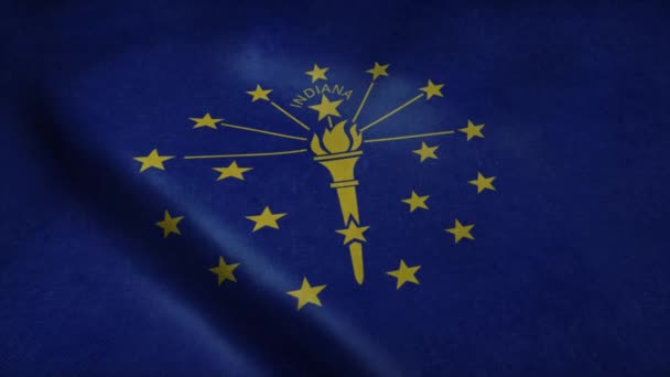 Indianas flagga viftar i vinden. Sömlös ögla med mycket detaljerad textur — Stockvideo