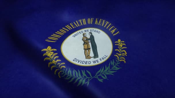 Státní vlajka Kentucky vlaje ve větru. Bezešvé smyčky s velmi detailní texturou tkaniny — Stock video