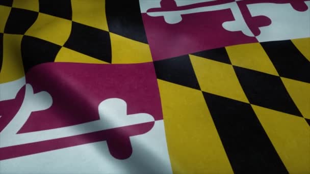 Maryland eyalet bayrağı rüzgarda sallanıyor. Son derece detaylı kumaş dokusuna sahip kusursuz döngü. — Stok video