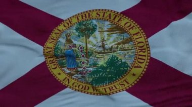 Florida bayrağı dalgalanır rüzgarda Güzel bulutlara karşı