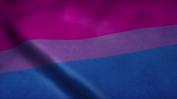 Biseksüel gurur topluluğu bayrağı. Cinsel azınlık kimliği — Stok video