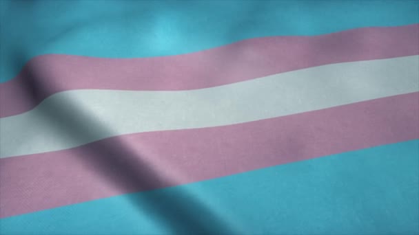 Bandiera della comunità transgender pride, simbolo LGBT. Identità delle minoranze sessuali — Video Stock