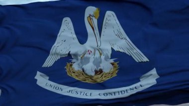 Louisiana bayrağı rüzgarda dalgalanıyor güzel bulutlara karşı