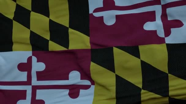 Vlajka Marylandu vlnící se ve větru proti hluboké krásné mraky oblohy — Stock video