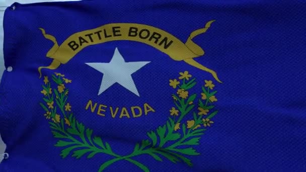 Bandera de Nevada ondeando en el viento contra las nubes del cielo — Vídeo de stock