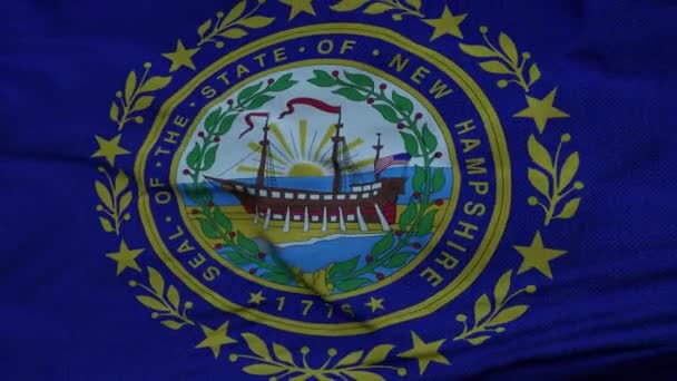 新罕布什尔州的国旗迎风飘扬，映衬着美丽的云彩 — 图库视频影像