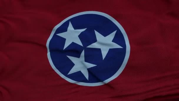 Zászló Tennessee integetett a szél ellen mély gyönyörű felhők ég — Stock videók
