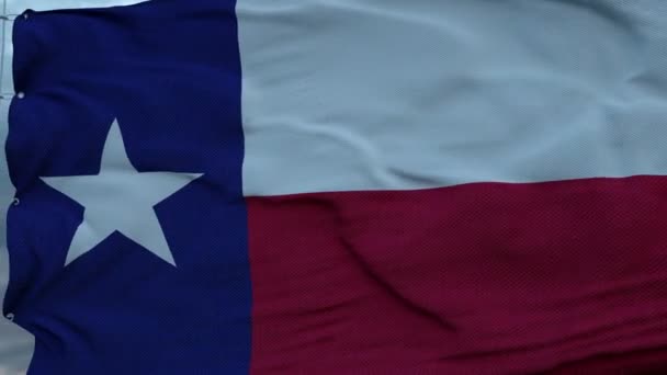 Bandera de Texas ondeando en el viento contra las nubes del cielo — Vídeo de stock