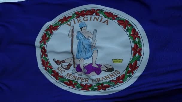 Bandera de Virginia ondeando en el viento contra las nubes profundas cielo hermoso — Vídeo de stock