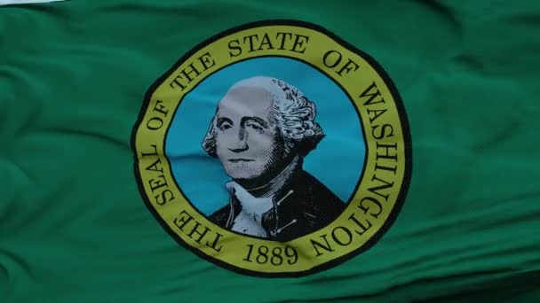 Vlajka Washingtonu vlnící se ve větru proti hlubokým krásným mrakům oblohy — Stock video