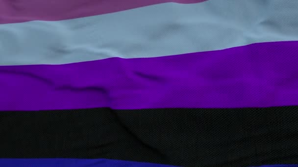 Genderfluiditet Pride Flagga stad viftar i vinden mot djupa vackra moln himmel — Stockvideo