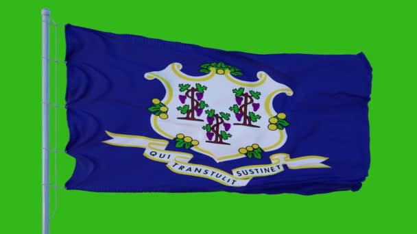 Bandeira do estado de Connecticut acenando ao vento contra fundo de tela verde — Vídeo de Stock