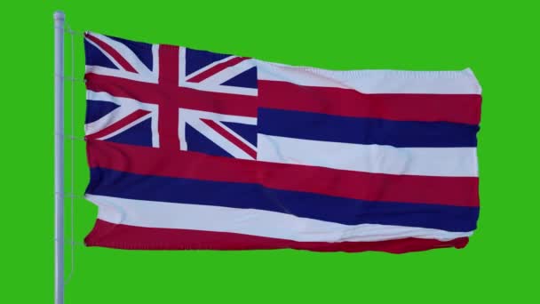 Bandeira do Estado do Havaí acenando no vento contra fundo tela verde — Vídeo de Stock