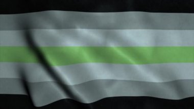 Rüzgarda sallanan cinsiyet bayrağı. Cinsiyetsiz haklar gökkuşağı gurur bayrağı LGBT