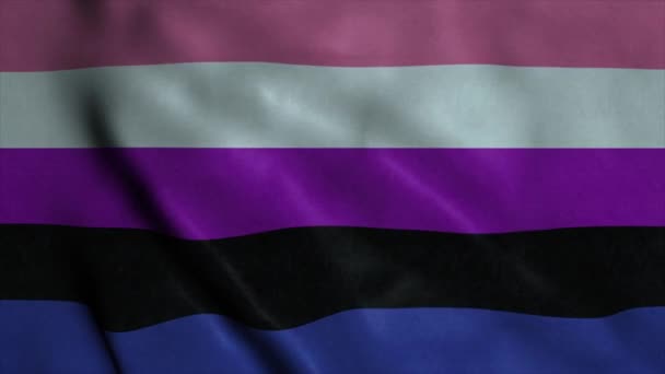 性别流动性骄傲的旗帜在风中飘扬 — 图库视频影像