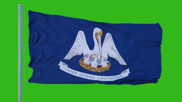 Bandera del estado de Louisiana ondeando en el viento contra el fondo de pantalla verde — Vídeos de Stock
