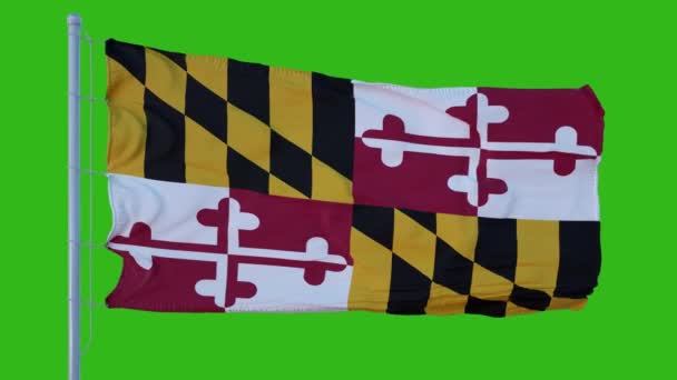 State flagga Maryland vinka i vinden mot grön skärm bakgrund — Stockvideo