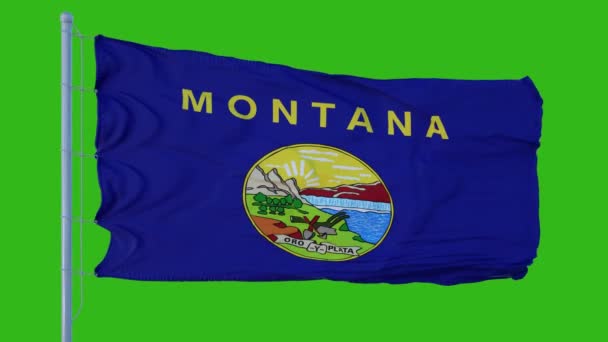 Drapeau de l'État du Montana agitant le vent sur fond d'écran vert — Video