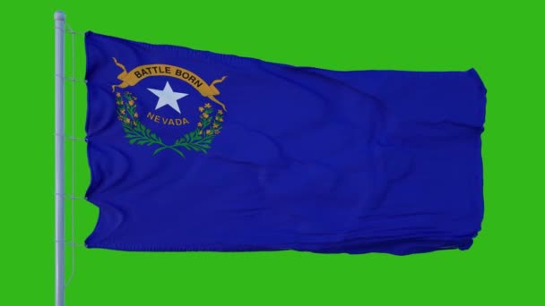 Drapeau de l'État du Nevada agitant le vent sur fond d'écran vert — Video