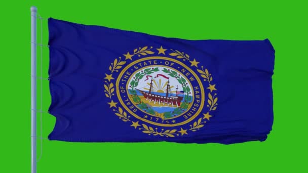 New Hampshire eyalet bayrağı yeşil ekran arka planına karşı rüzgarda dalgalanıyor — Stok video